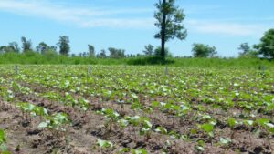 60146a3192989131455524