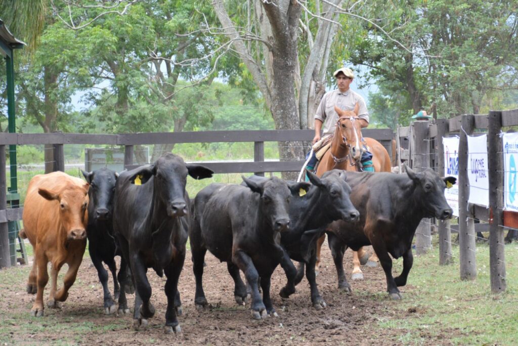 0cb3a40e-e9bc-4a2e-868d-4e2b141ac706