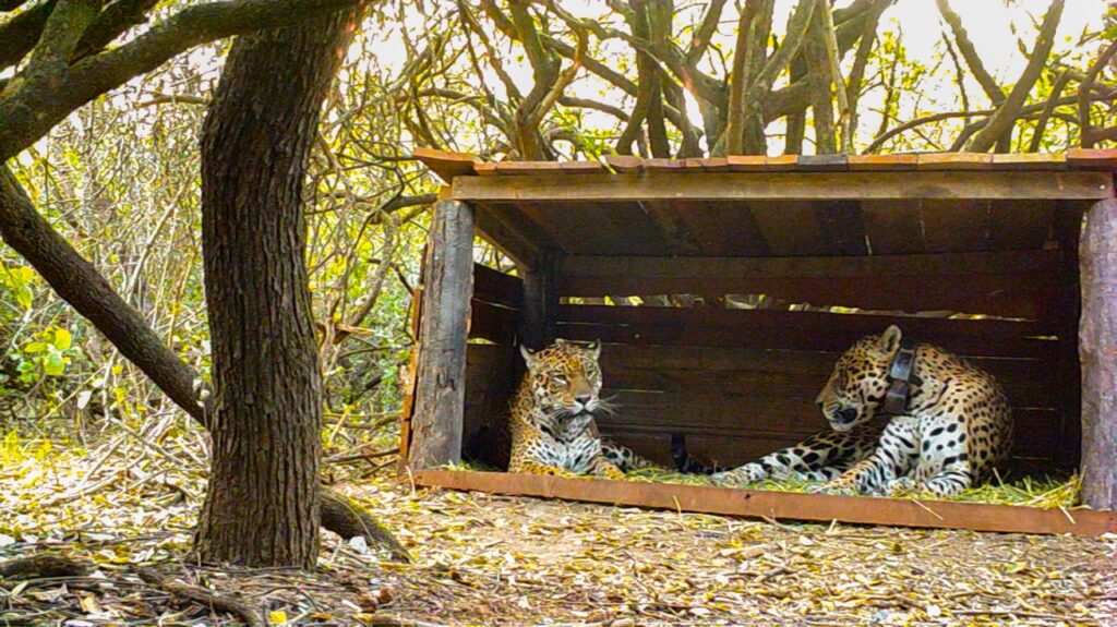 605e2bdc-1aa1-4d71-98b4-a28d6b7192e7