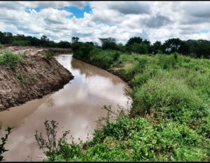 8bfba121-8d21-45ac-bff9-0e3b1be88ea4