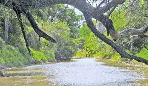 En la región chaqueña no podemos hablar de agroecología si nos olvidamos del monte