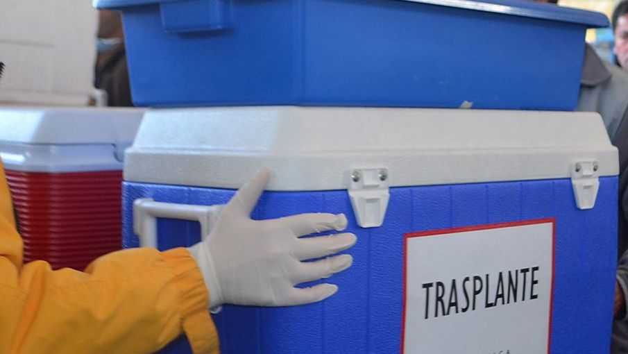 El presidente del Incucai Es falso que se perdieron córneas