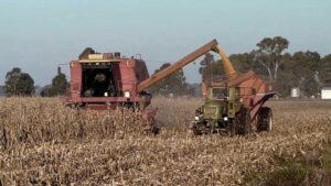 Cuáles son los ejes del proyecto de Desarrollo Agroindustrial
