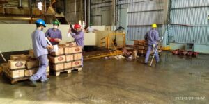 Senasa decomisó 1.500 kilos de fiambres y chacinados