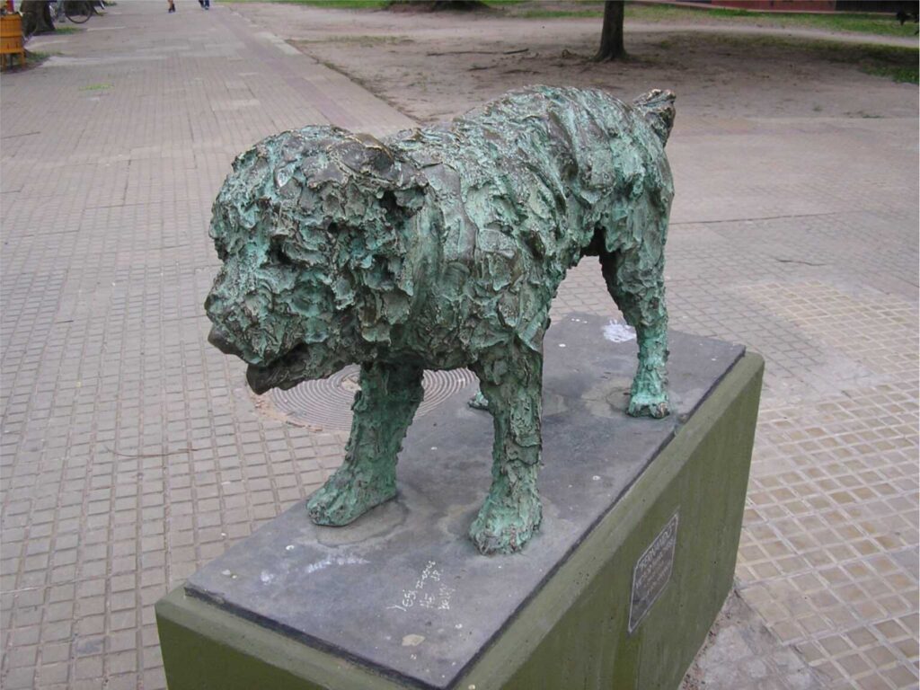 perro Fernando