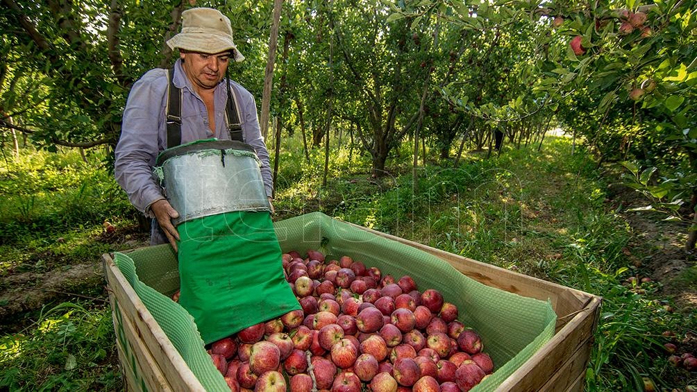 frutihortícolas