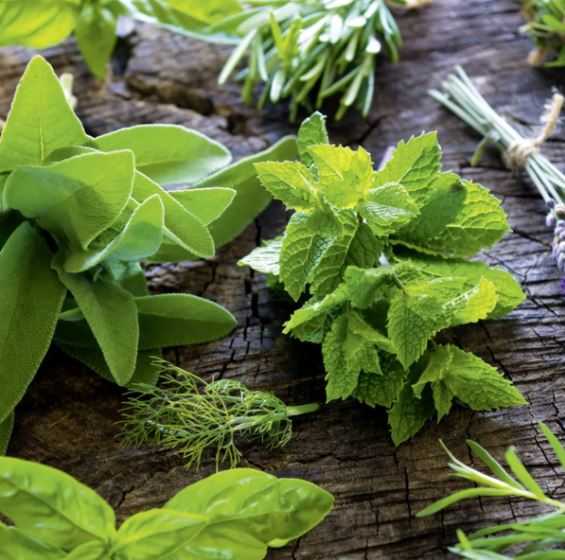 recetas naturales