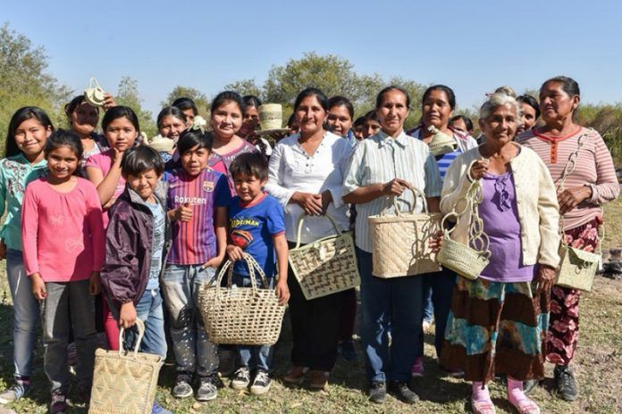 estudiantes y docentes indigenas