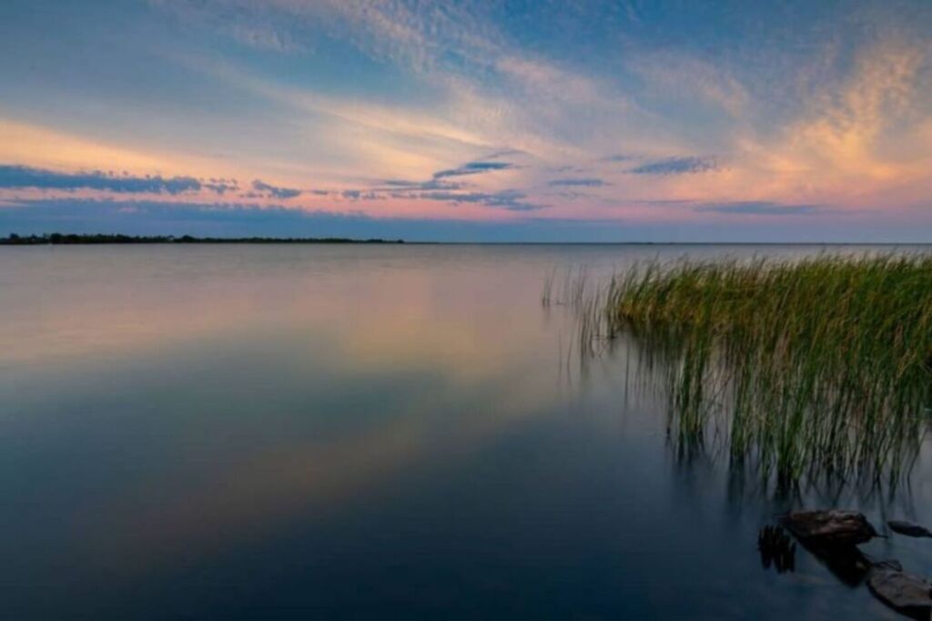 Con monitoreo acústico pasivo, identifican riqueza de especies de ranas y sapos en Iberá