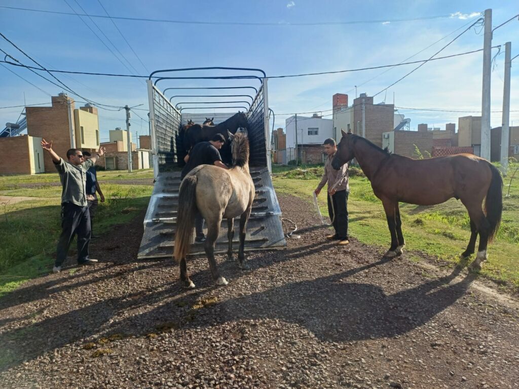 053d2aa9-410a-403c-b9c3-40a5224ef4a5