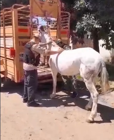 518c44b0-2129-4a63-b7e6-0f00f46847af