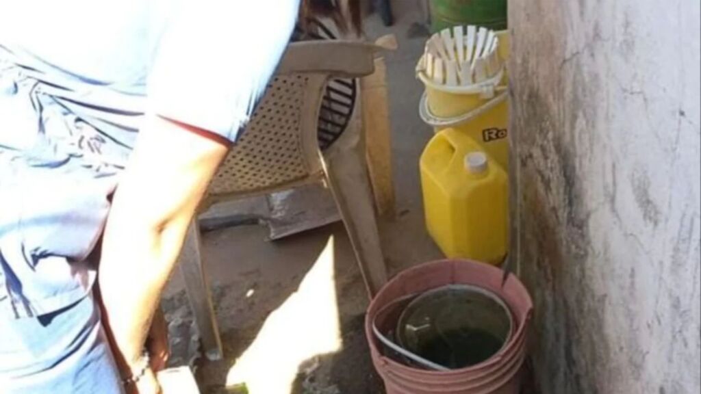 criaderos de mosquitos