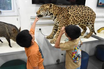 Espo Monte chaqueño