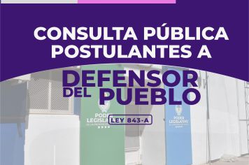 cons def publico