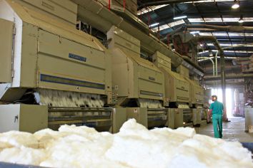 desmalezadora algodon