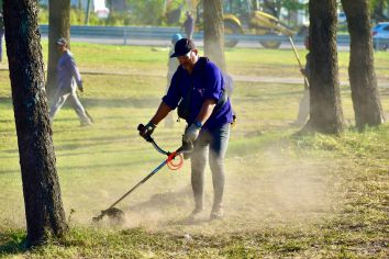 limpieza y desmalezamiento