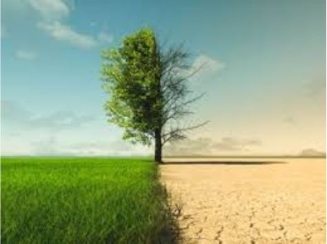 Dia mundial del clima