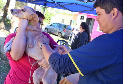 abordaje territorial