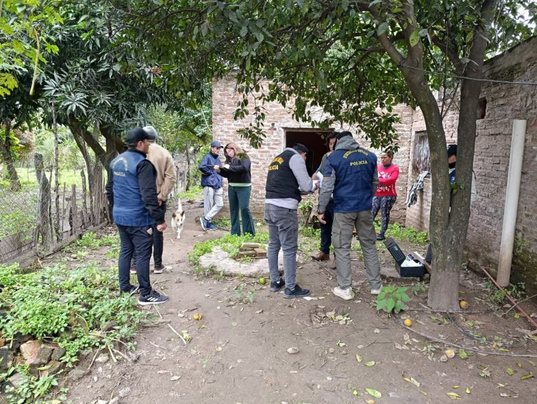 grooning ciervo petiso