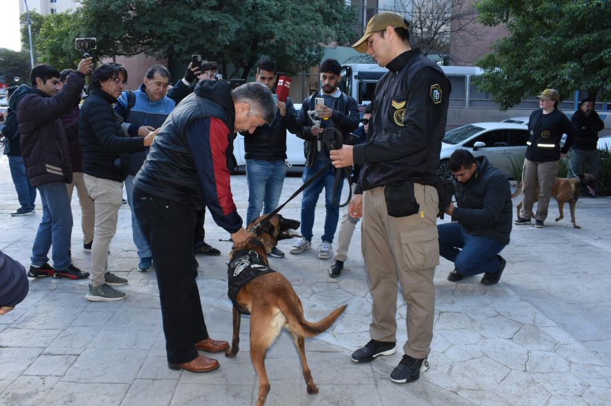 lucha contra el narcotrafico