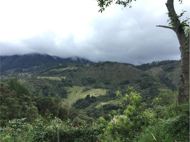 Andes del Norte, Colombia