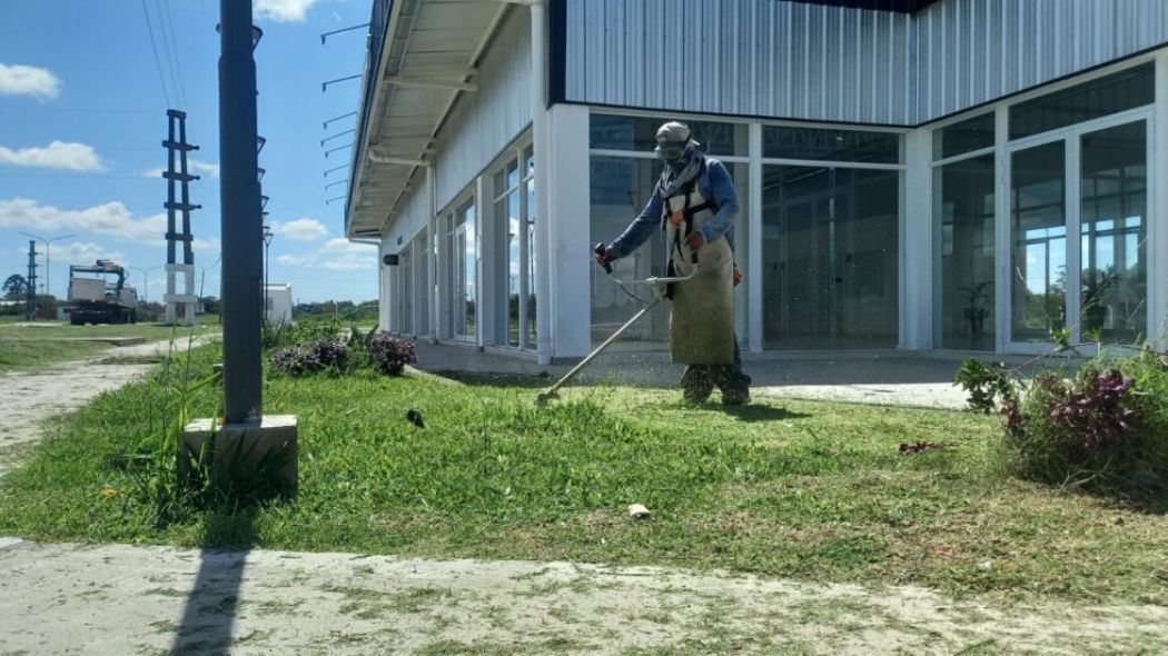 trabajos de mantenimientos queras