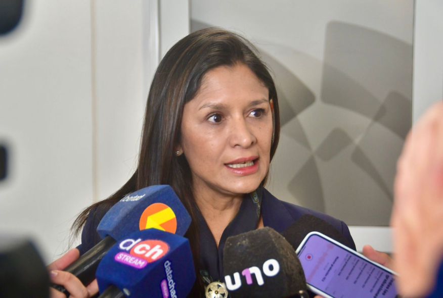 La vicepresidente del IPRODICH, Mónica Morales,
