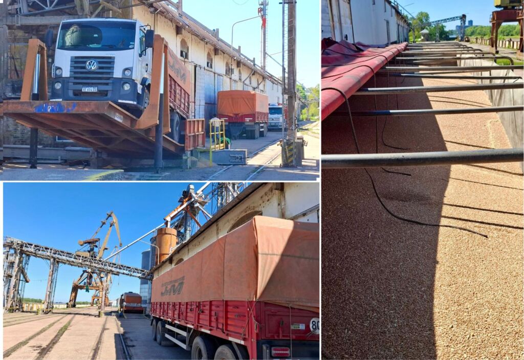 Puerto de barranqueras trigo de santa fe