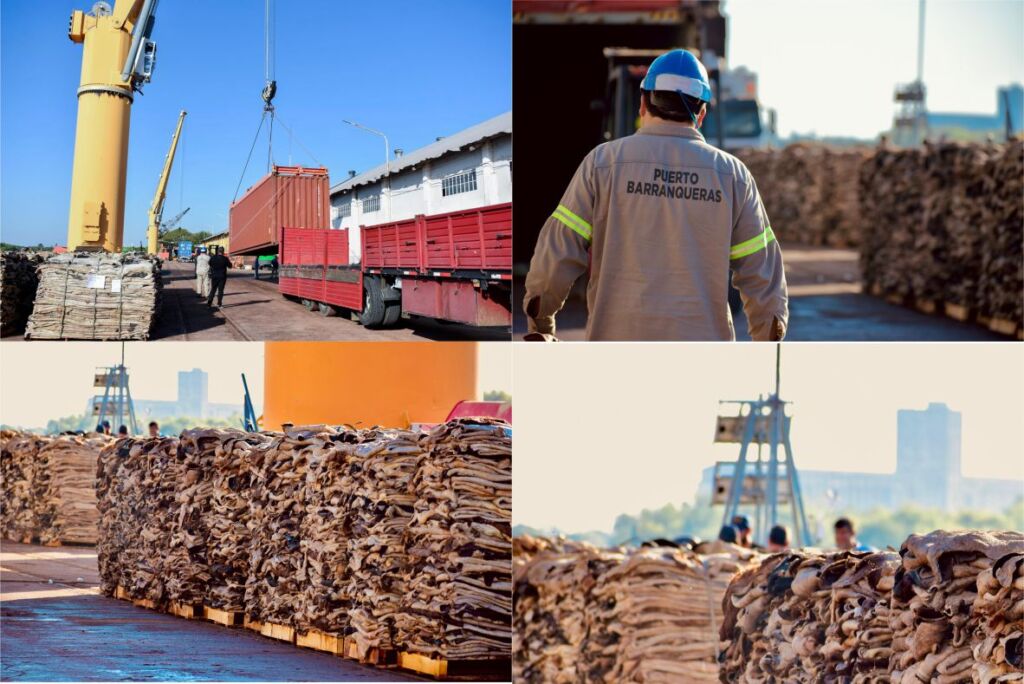 contenedores con cueros salados y productos puerto de barranqueras