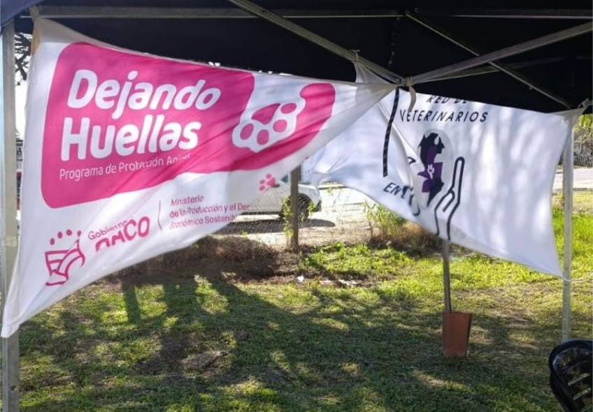 dejando huellas