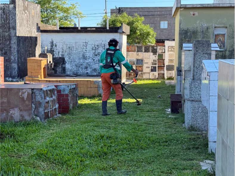 Limpieza cementerio San Francisco