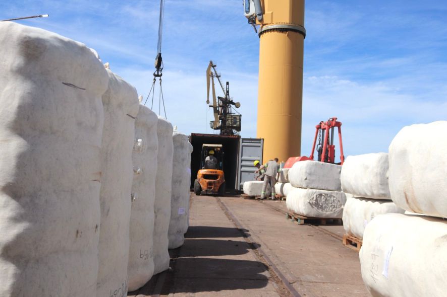 algodon chaqueño puerto de barranqueras