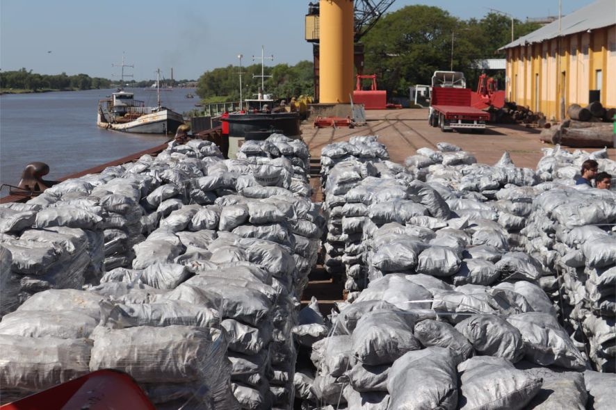 exportación carbon premium