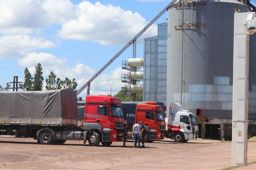 importación barranqueras