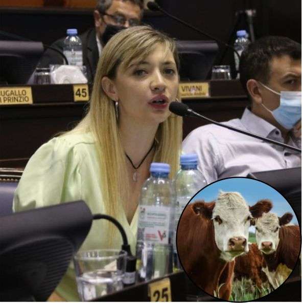 UnionPorLaPatria Lucía Lorena Klug