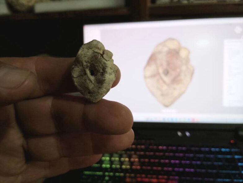 dinosaurio corrientes unne