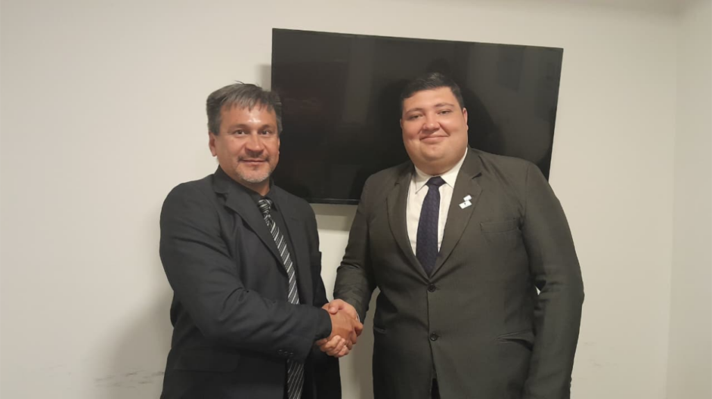 comision de delitos economicos