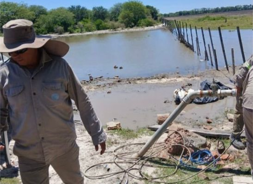 los frentones sameep