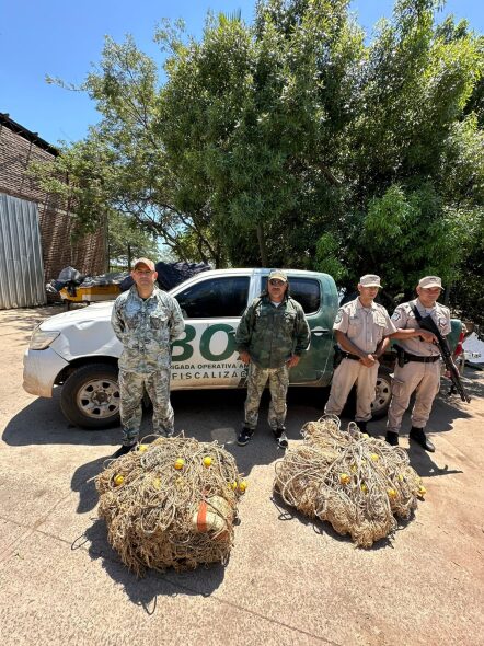 secuestro de mallones