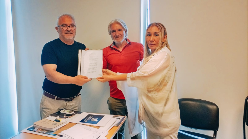 anteproyecto de ley falsas denuncias