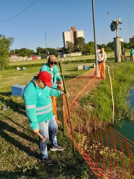 vallaron laguna arguello