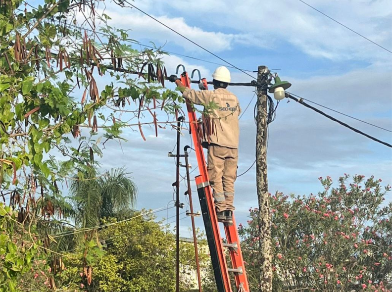 castelli conexiones ilegales