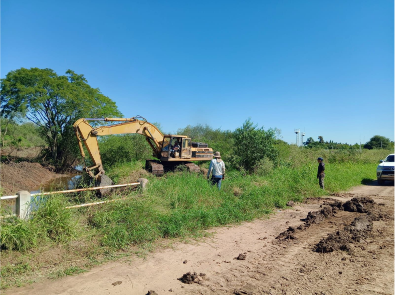 Catelli obras para escurrir el agua