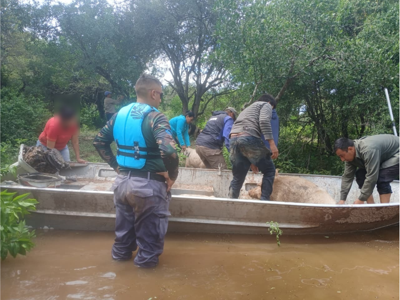 ayuda creciente de rio bermejito