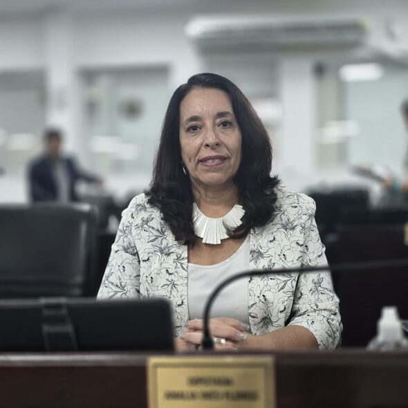 diputada Analia Flores