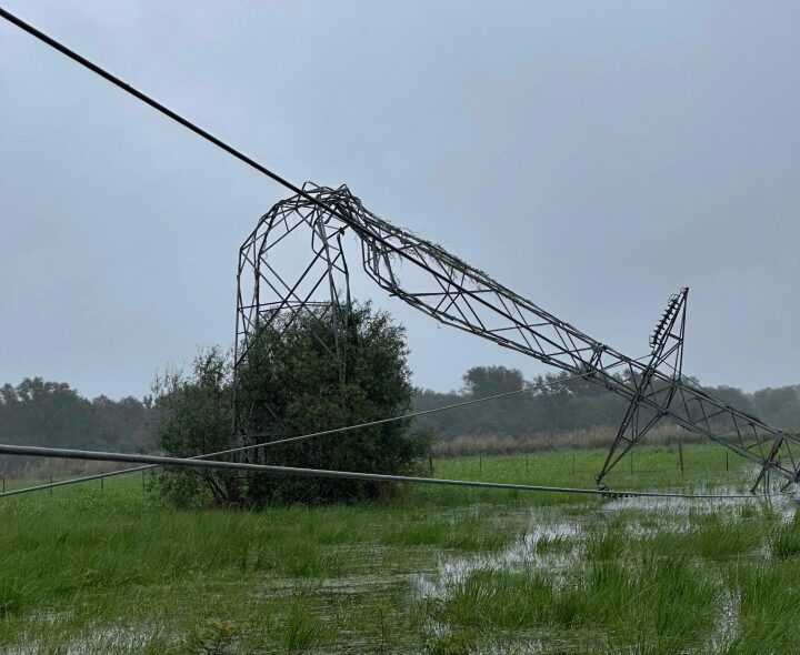 secheep laguna blanca