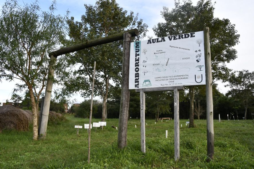 aula verde unne