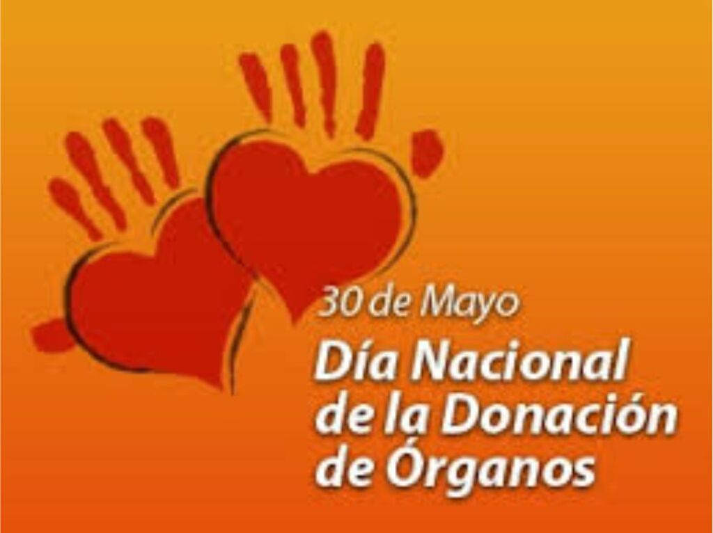 donante de organos