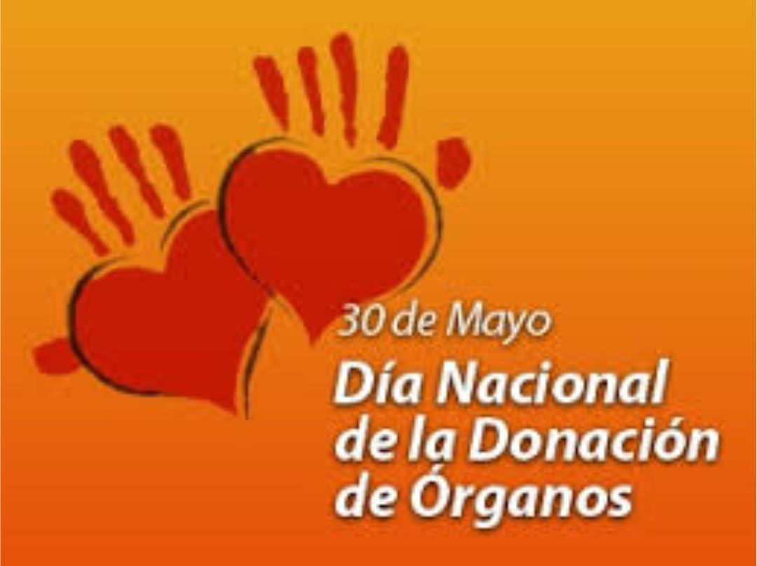 donante de organos