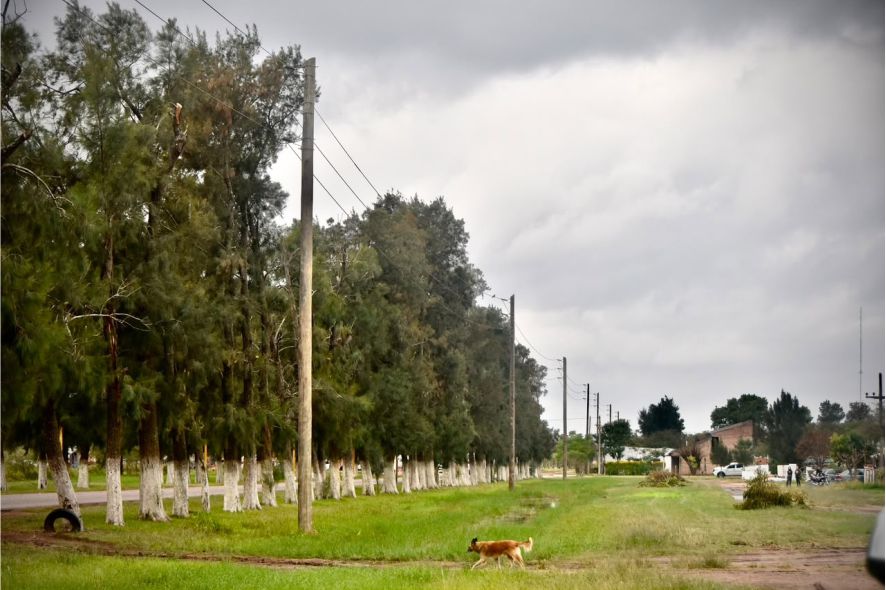 Electricidad rural